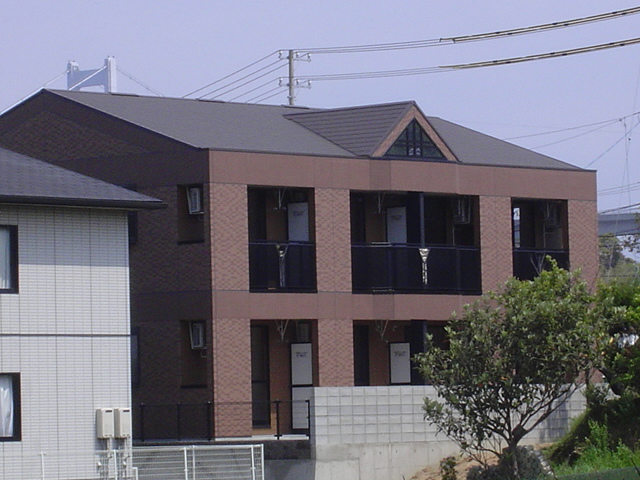 ���W�f���X���܂Ȃ݁@�g�~�l�@203